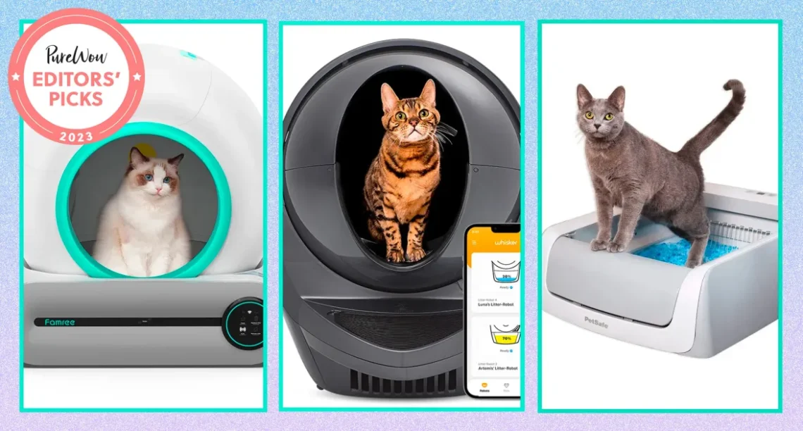 Best Automatic Litter Box