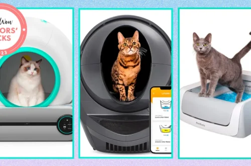 Best Automatic Litter Box